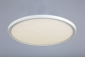 Потолочный светодиодный светильник Omnilux Earley OML-43907-36
