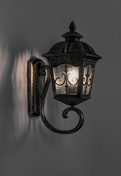 Уличный настенный светильник Feron 11519