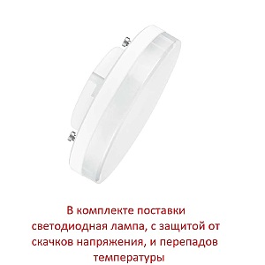 Уличный настенный светильник Fumagalli Elisa DS2.560.000.WXD1L