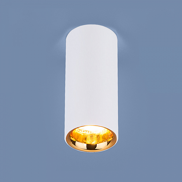 Накладной светильник Elektrostandard DLR030 DLR030 12W 4200K белый матовый/золото