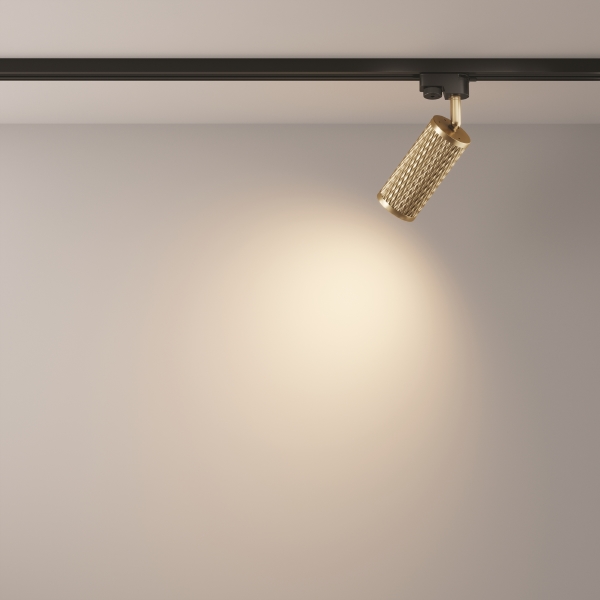 Трековый светильник Maytoni Focus Design Unity TR011-1-GU10-G