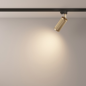 Трековый светильник Maytoni Focus Design Unity TR011-1-GU10-G