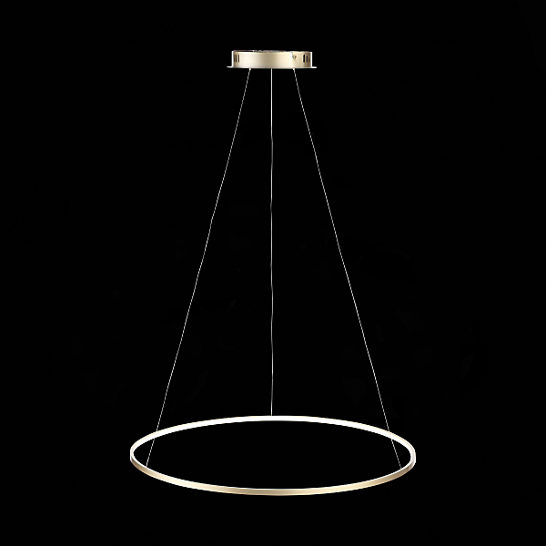 Подвесная люстра ST Luce Erto SL904.213.01