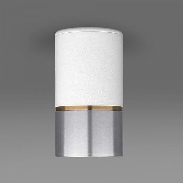 Накладной светильник Elektrostandard DLN106 DLN106 GU10 белый/серебро