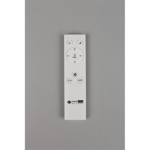 Светильник потолочный Omnilux Berkeley OML-43007-40