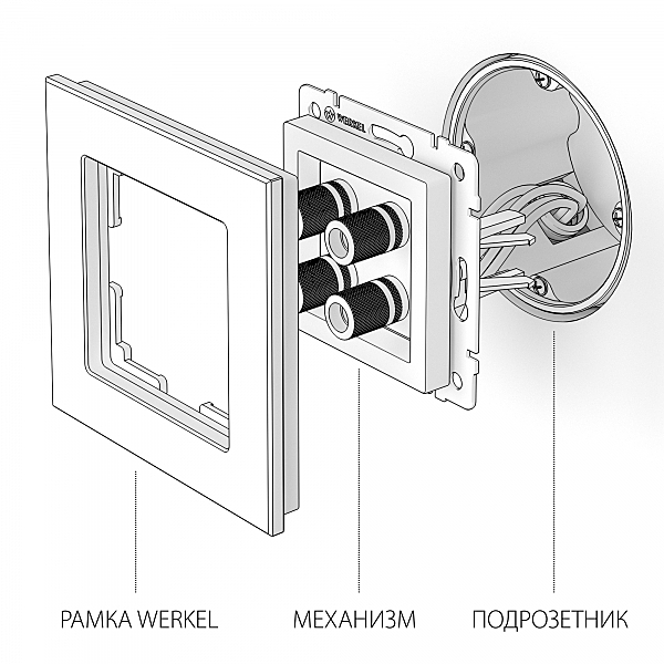 Розетка Werkel W1185010/ Акустическая розетка (шампань рифленый)