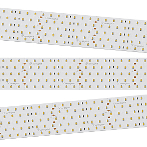 LED лента Arlight RT открытая 019081(B)