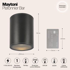 Уличный потолочный светильник Maytoni Bar O306CL-L7GF