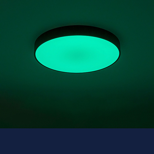 Светильник потолочный Citilux Купер CL72470G1