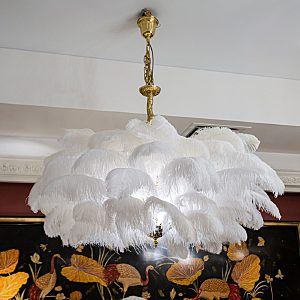 Подвесная люстра L'Arte Luce Luxury Feather Lamp L03408.02