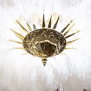 Подвесная люстра L'Arte Luce Luxury Feather Lamp L03408.02