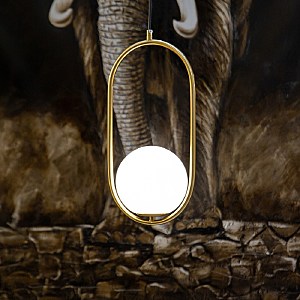 Светильник подвесной L'Arte Luce Luxury Gosca L54502.86