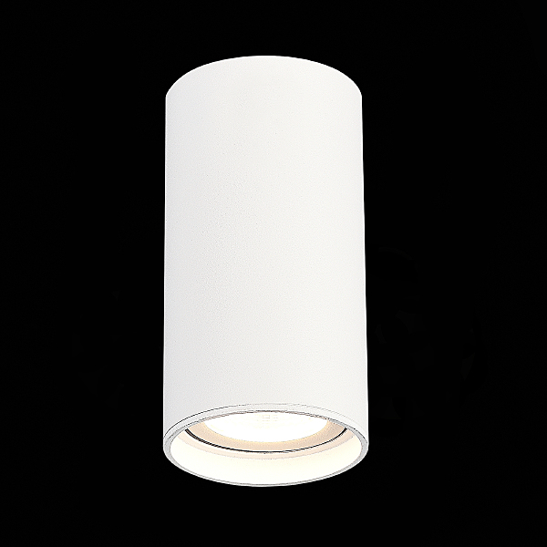 Накладной светильник ST Luce Functional ST157.542.15