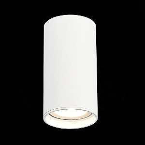 Накладной светильник ST Luce Functional ST157.542.15