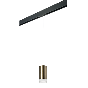 Трековый светильник Lightstar Rullo PRORP43130