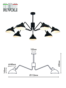 Потолочная люстра Rivoli Geraldine 4101-307
