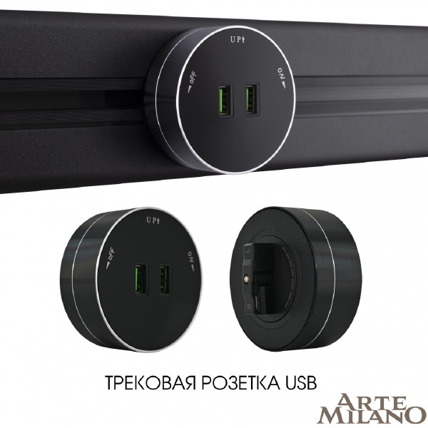 Трековая розетка Arte Milano Am-track-sockets 380011TS/USBx2 Black