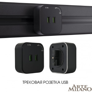 Трековая розетка Arte Milano Am-track-sockets 380022TS/USBx2 Black