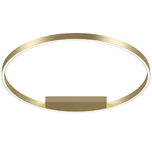 Светильник потолочный Maytoni Rim MOD058CL-L50BSK