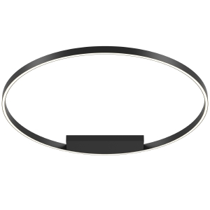 Светильник потолочный Maytoni Rim MOD058CL-L65BK