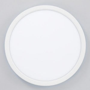 Светильник потолочный Citilux Basic Line CL738240VL