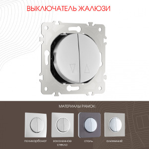 Выключатель Arte Milano Am-202 202.38-2.silver