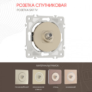 Розетка Arte Milano Am-202 202.42-1.shampan