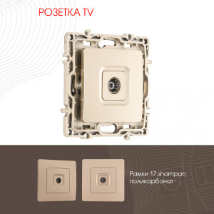 Розетка Arte Milano Am-217 217.43-1.shampan