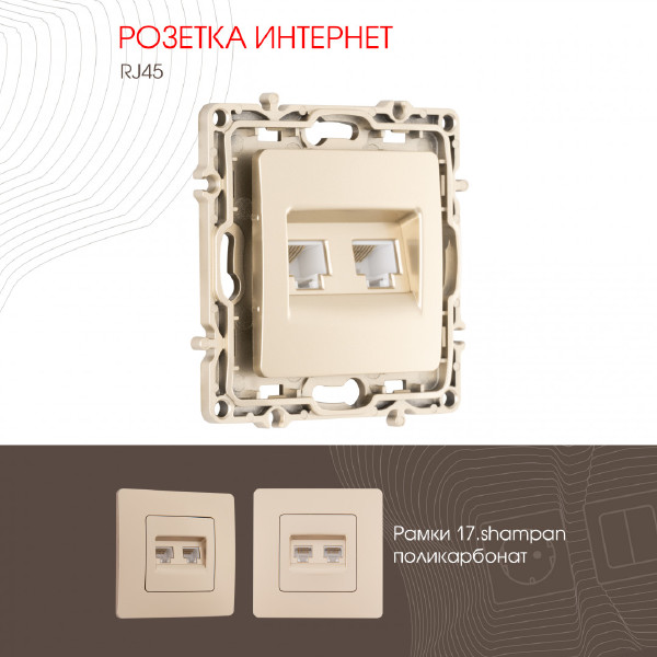 Розетка Arte Milano Am-217 217.45-2.shampan