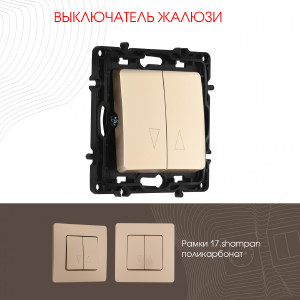 Выключатель Arte Milano Am-217 217.38-2.shampan