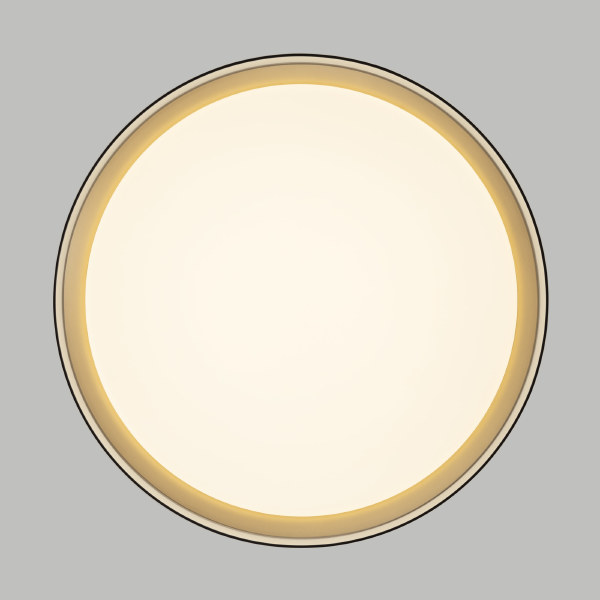 Светильник потолочный Citilux Boss CL751351G