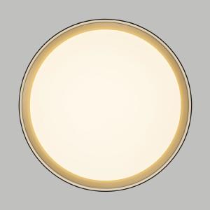 Светильник потолочный Citilux Boss CL751351G