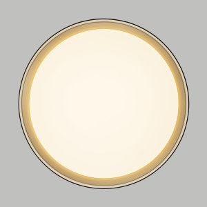 Светильник потолочный Citilux Boss CL751351G