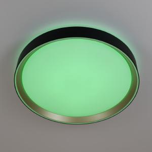Светильник потолочный Citilux Boss CL751351G