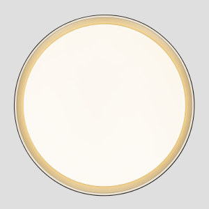 Светильник потолочный Citilux Boss CL751451G