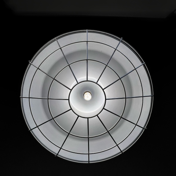 Светильник подвесной LIGHTERA Simma LE11520