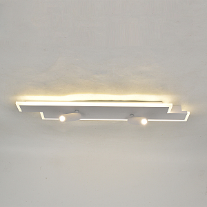 Светильник потолочный Escada 20047Led 20047SMA/02LED WH