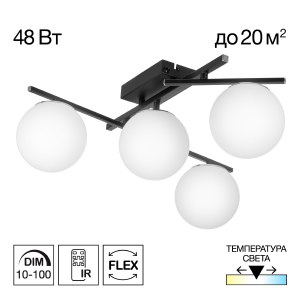 Потолочная люстра Citilux Dorsy CL223142