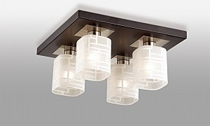 Потолочная люстра Odeon Light Campus 2615/4C